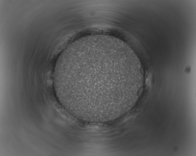 X0000116610819200912312116