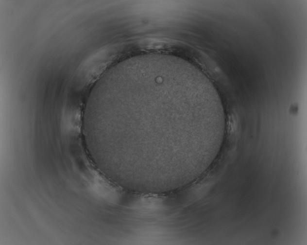 X0000116610820200912312116