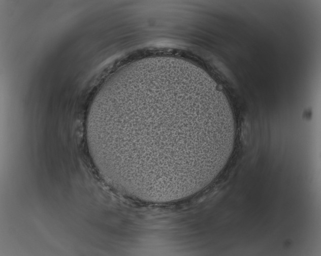 X0000116610821200912312116