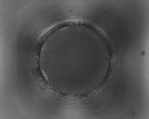 X0000116610822200912312116