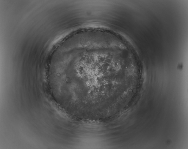 X0000116610823200912312116