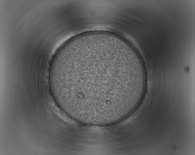 X0000116610827200912312116