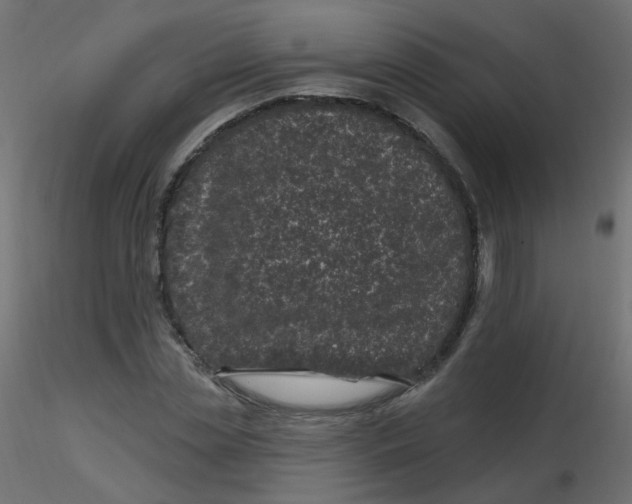 X0000116610829200912312116