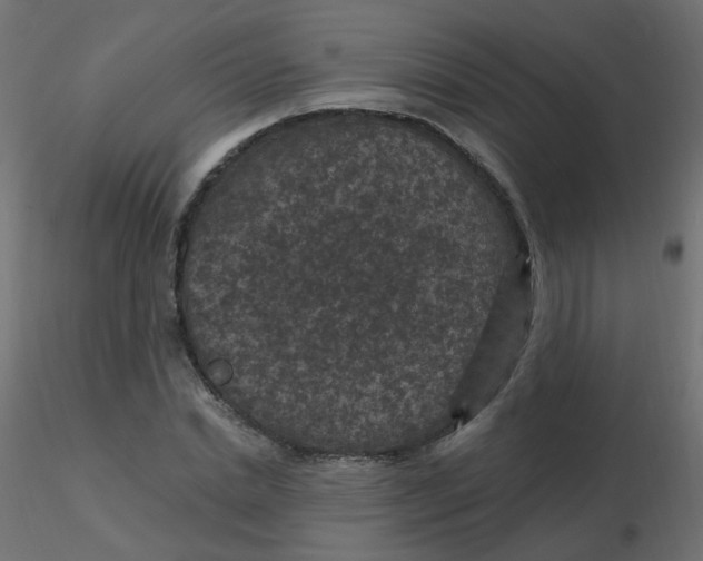 X0000116610830200912312116