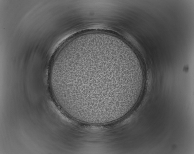 X0000116610831200912312116