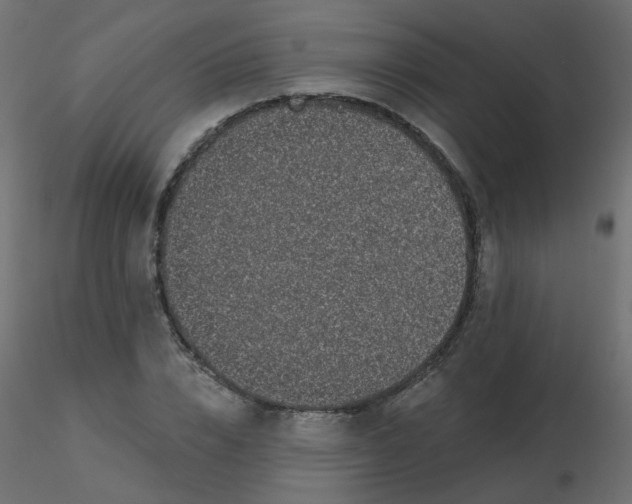 X0000116610832200912312116