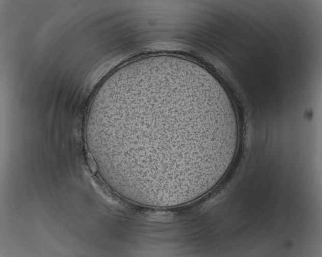 X0000116610833200912312116