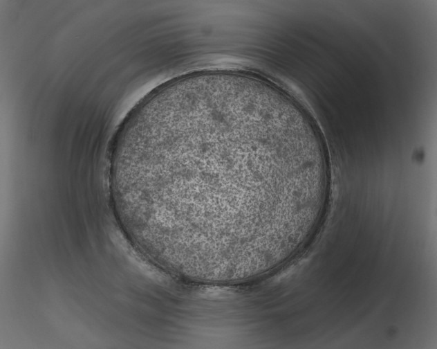 X0000116610835200912312116