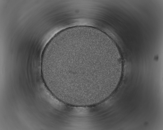 X0000116610836200912312116