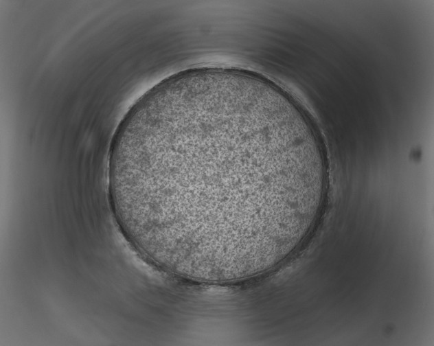 X0000116610839200912312116