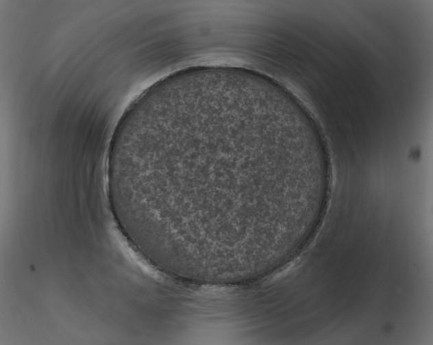 X0000116610840200912312116