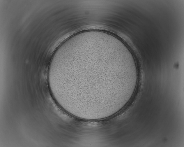 X0000116610841200912312116