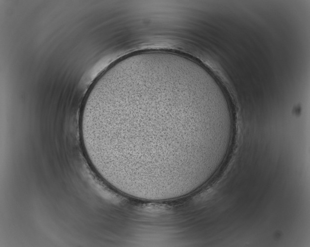 X0000116610842200912312116