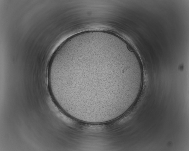 X0000116610843200912312116