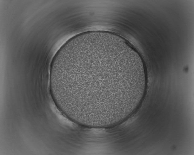 X0000116610844200912312116