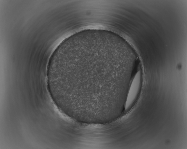 X0000116610845200912312116