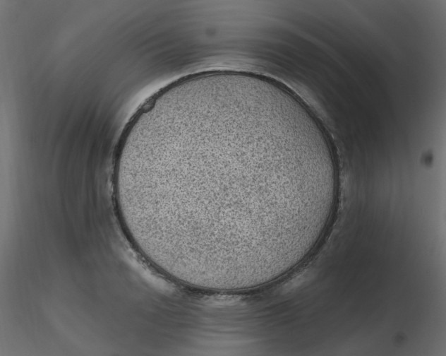 X0000116610846200912312116