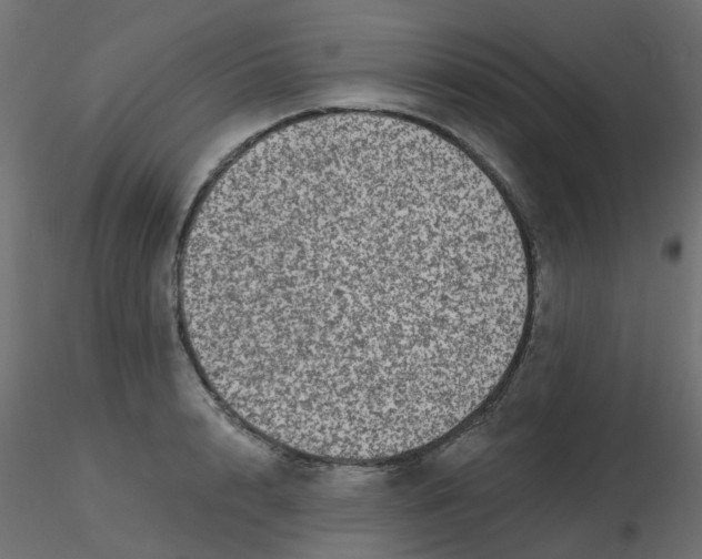 X0000116610848200912312116