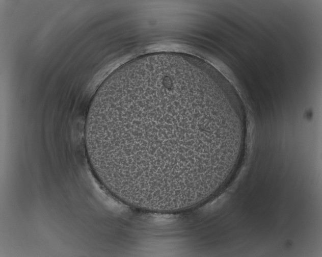 X0000116610849200912312116