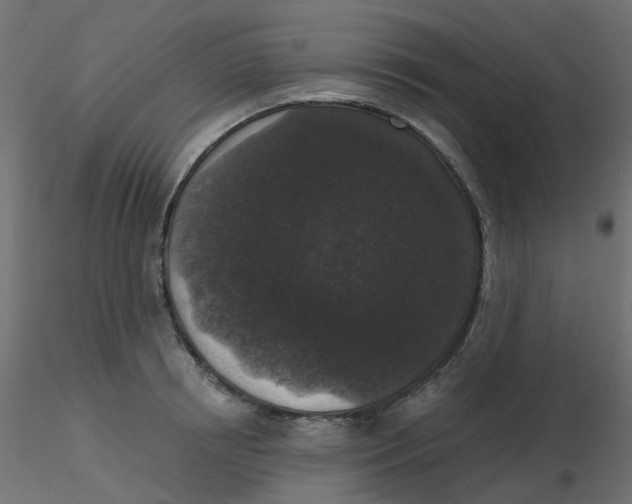 X0000116610850200912312116