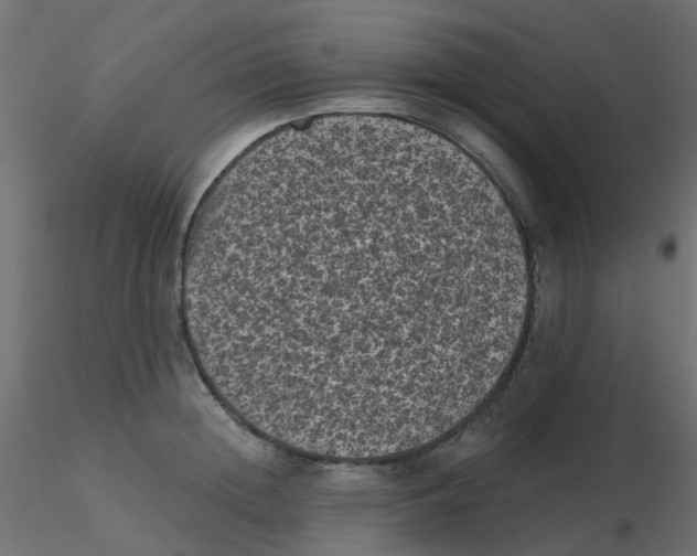 X0000116610852200912312116