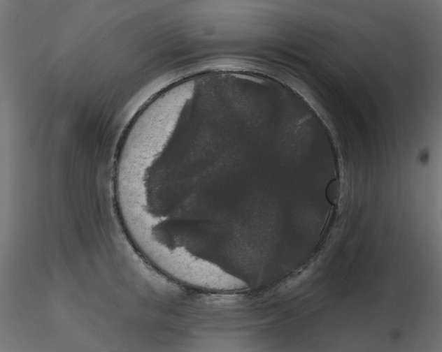 X0000116610853200912312116