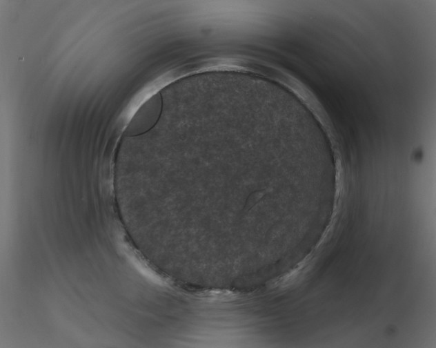 X0000116610858200912312116