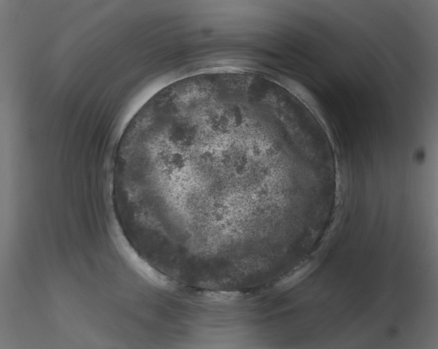 X0000116610859200912312116