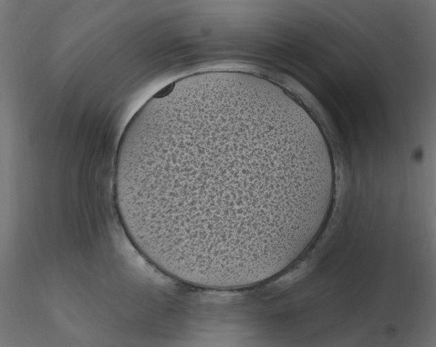 X0000116610860200912312116