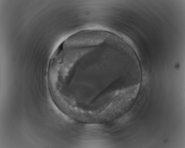 X0000116610863200912312116