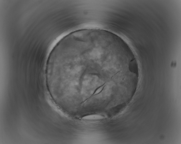 X0000116610864200912312116