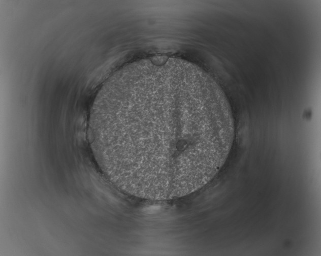 X0000116610866200912312116