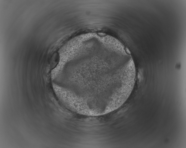 X0000116610867200912312116