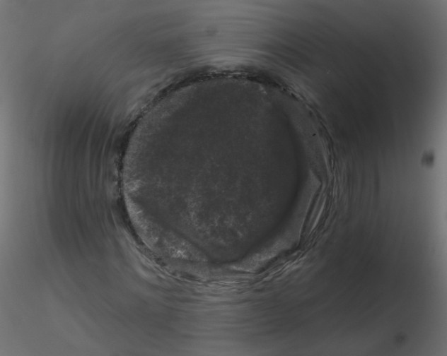 X0000116610868200912312116