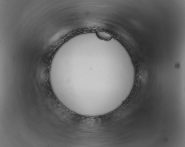 X0000116610869200912312116