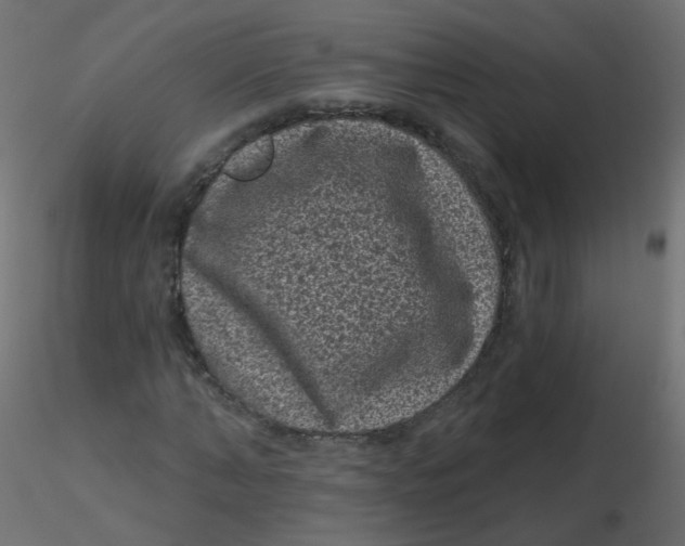 X0000116610870200912312116