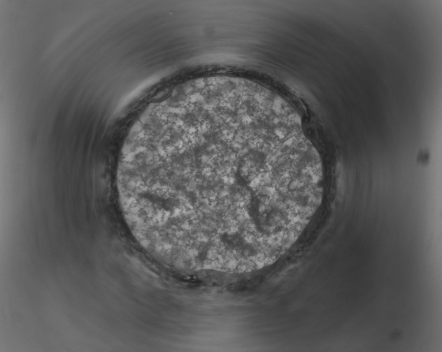 X0000116610872200912312116