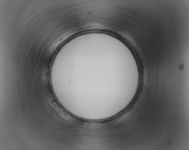 X0000116610873200912312116