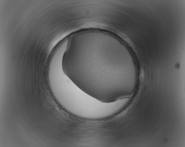 X0000116610877200912312116