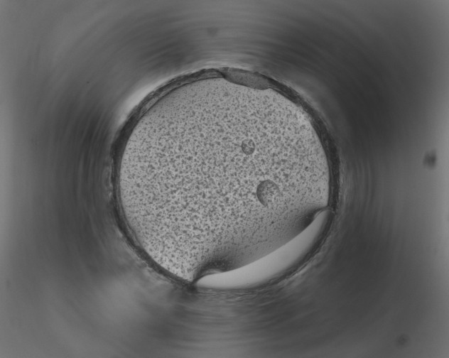 X0000116610878200912312116