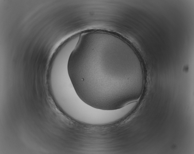 X0000116610880200912312116