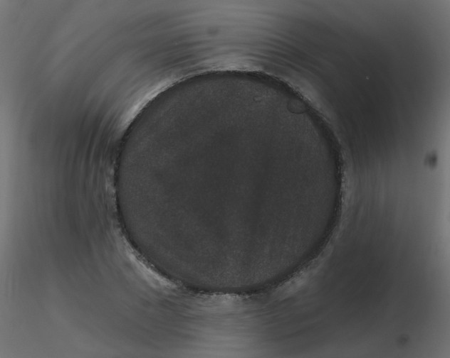 X0000116610881200912312116