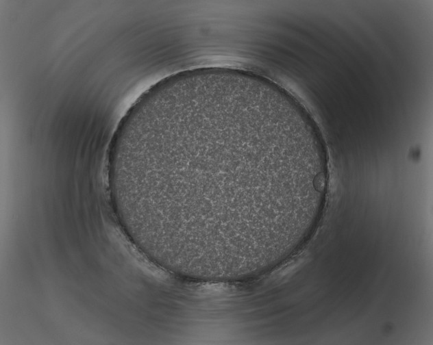 X0000116610883200912312115