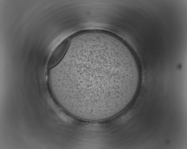 X0000116610885200912312115