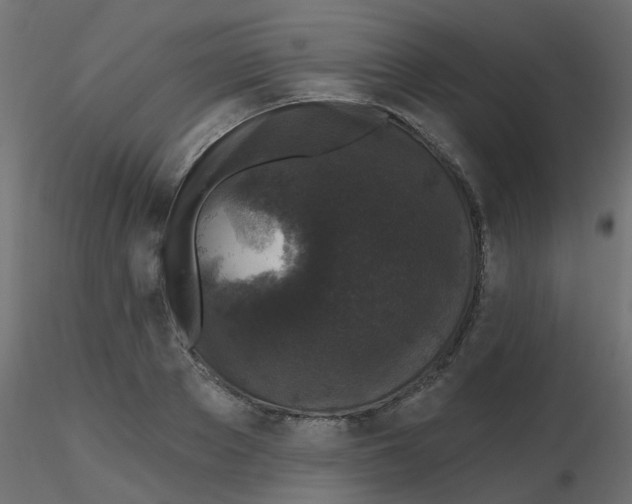 X0000116610889200912312115