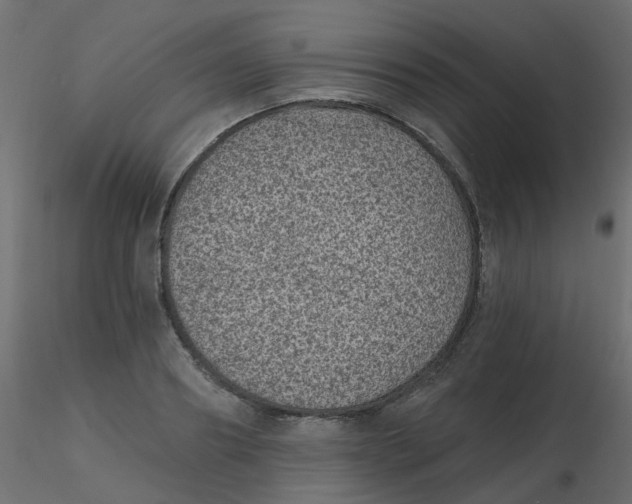 X0000116610890200912312115