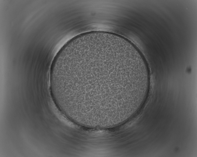 X0000116610891200912312115