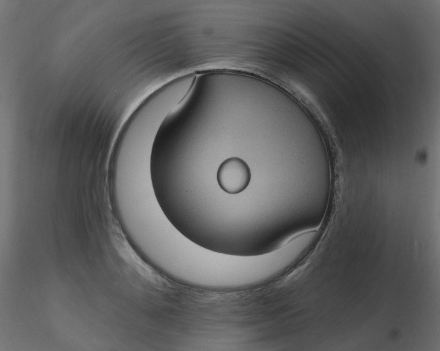 X0000116610892200912312115