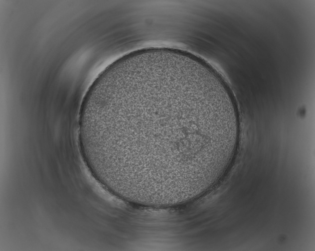 X0000116610895200912312115