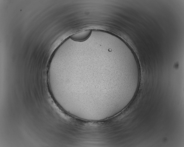 X0000116610898200912312115